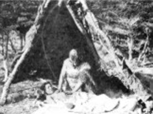 Changos Ictiofagos, Promaucaes
